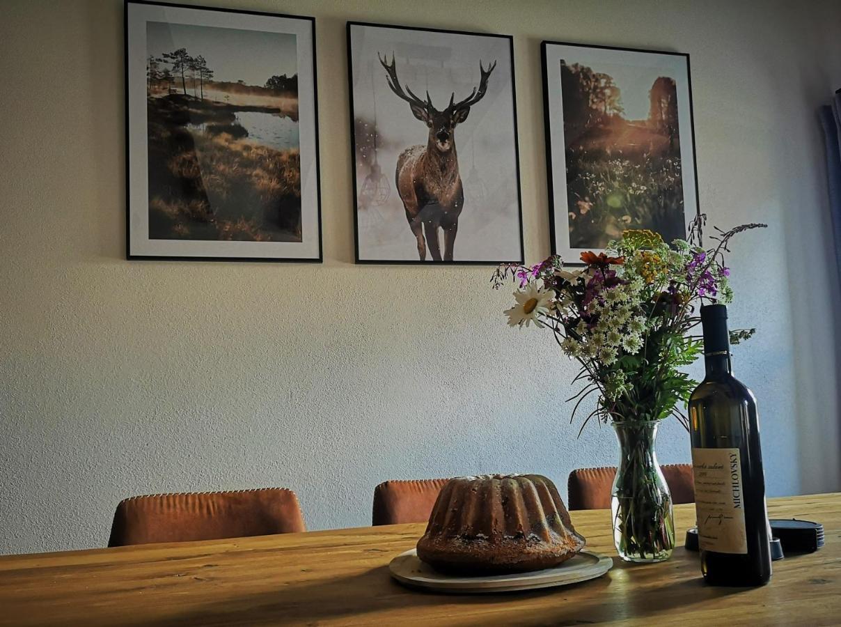 Wellness Apartman Kvilda Exteriér fotografie